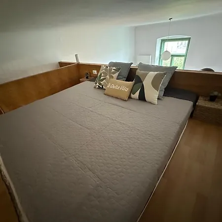 Heart Of The * 클루지나포카